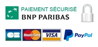 paiement securisé