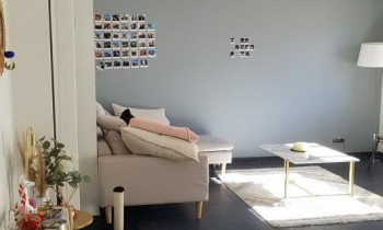 Visuel du bien