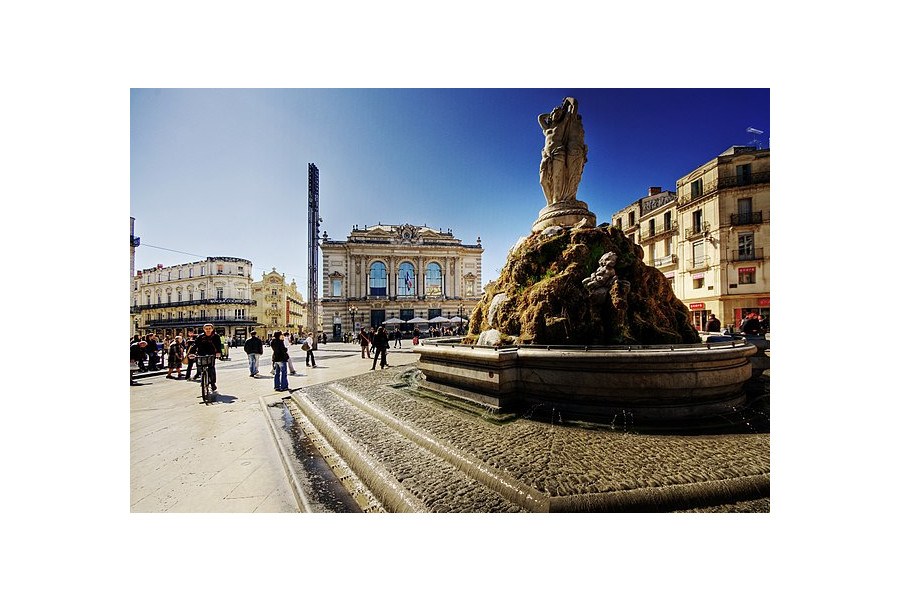 gestion locative montpellier